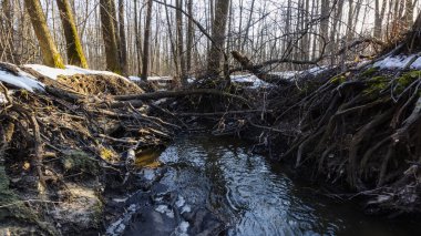 windbreakage kirli Nehri üzerinde