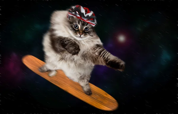 arka plan üzerinde galaxy ile scateboard üzerinde uçan kedi