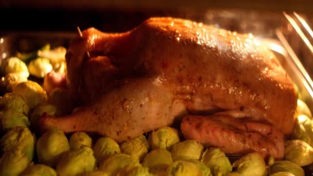 在烤箱烹饪鸭 — 图库视频影像