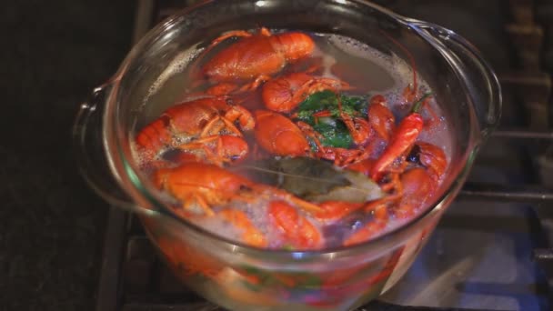 Cuisson écrevisse dans un pot en verre transparent — Video