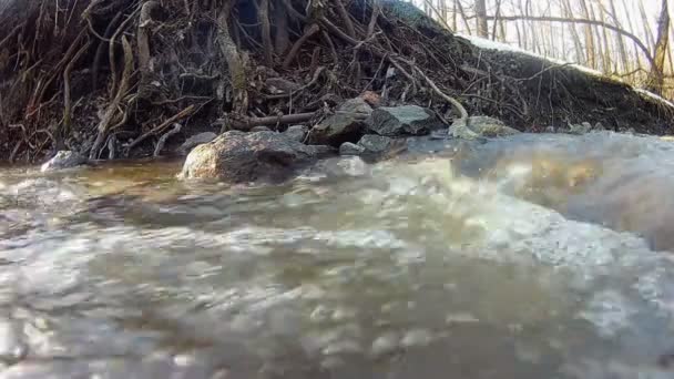 Strom Wasser durch den frühen Frühling Fluss in der Stadt — Stockvideo