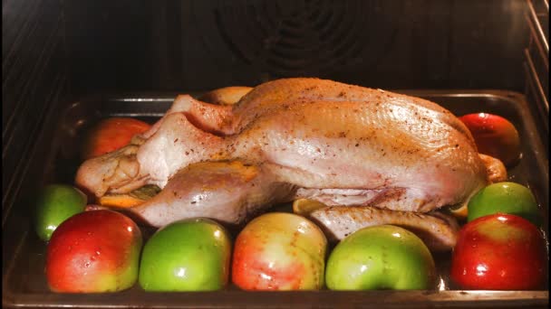 Cooking duck in oven time lapse — Stock Video