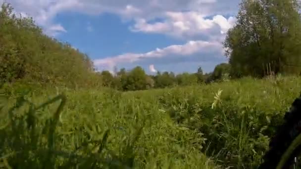 mouvement de vélo sur herbe haute vue à angle bas 