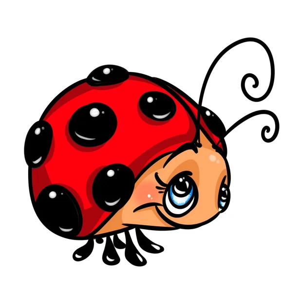 Coccinelle insecte dessin animé — Photo