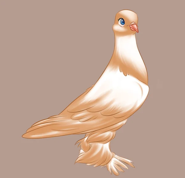 Purebred dove brown bird cartoon — Stock Photo, Image