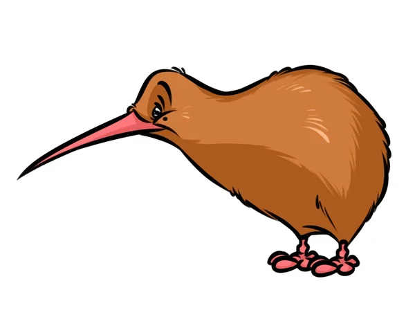 Ακτινίδιο πουλιών της Νέας Ζηλανδίας κινουμένων σχεδίων — Φωτογραφία Αρχείου