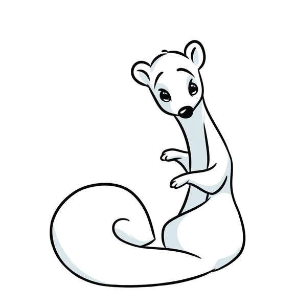 Fehér hermelin rajzfilm — Stock Fotó