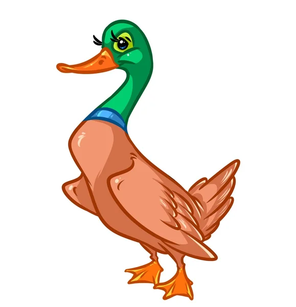 Desenho de pato desenho animado — Fotografia de Stock