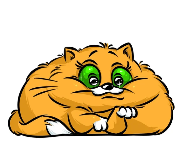 Cat big eyes cartoon — Stock Photo, Image