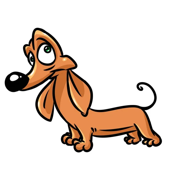 Dog dachshund amaze cartoon — Stock Photo, Image