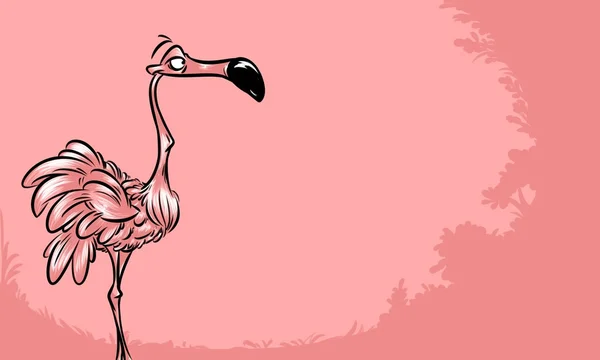 Flamant rose oiseau fond de bande dessinée — Photo