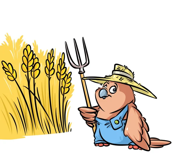 Sparrow bird farmer grain field  cartoon — Stock Photo, Image
