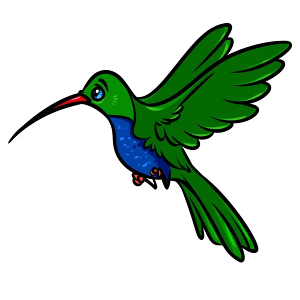 Pájaro colibrí dibujos animados —  Fotos de Stock