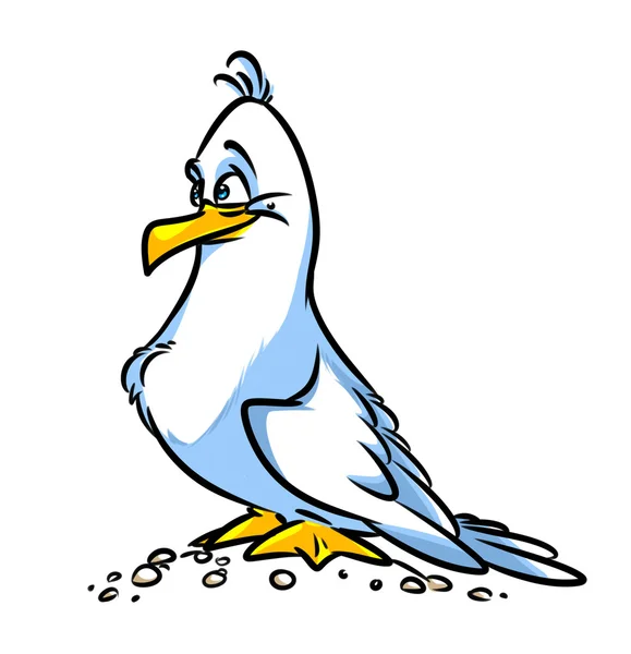 Fågel Seagull cartoon — Stockfoto