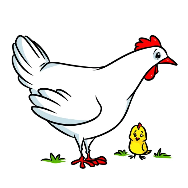 White chicken cartoon — Stock Photo, Image