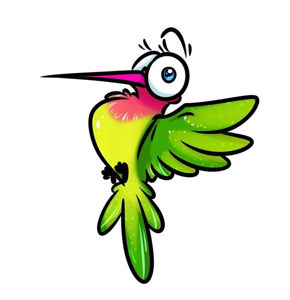 Uccello colibrì cartone animato — Foto Stock