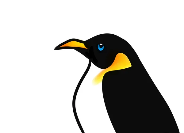 Kreskówka Pingwin ptak — Zdjęcie stockowe