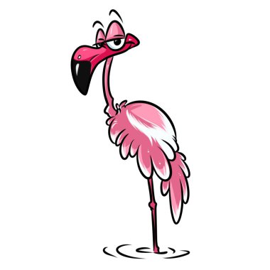 Pembe flamingo kuş çizgi film