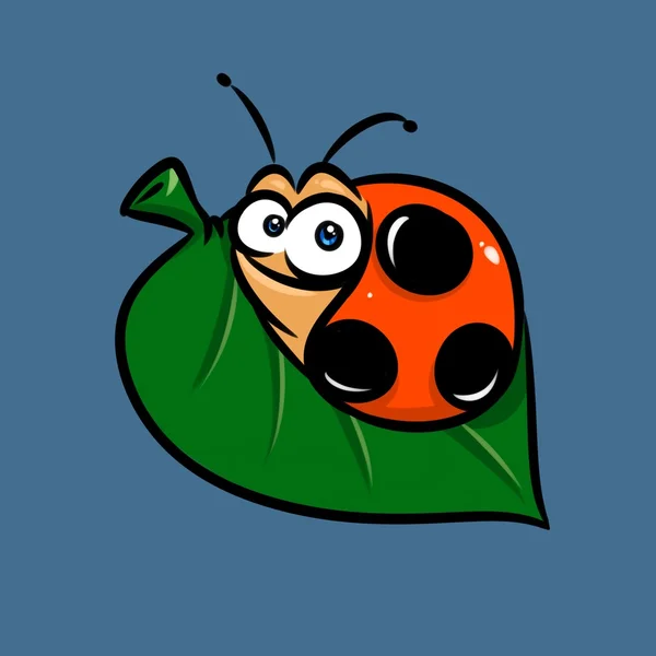 Kreslený hmyz berušky — Stock fotografie