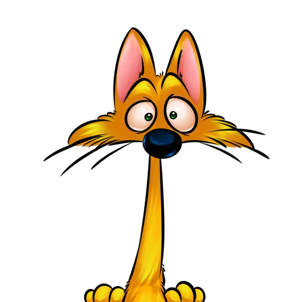 Gato mascota retrato dibujos animados ilustración —  Fotos de Stock