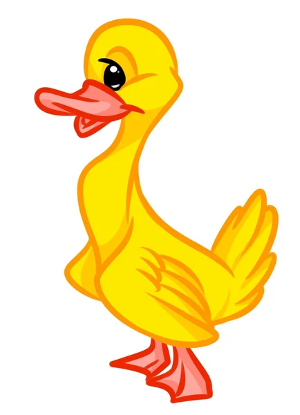 Yellow duckling cartoon — Stock Photo, Image