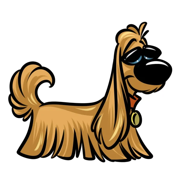 Hund långt hår cartoon — Stockfoto