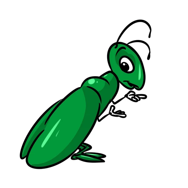 Insect Green Cricket cartoon