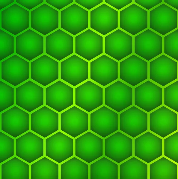 Hexagon cell background — Stock Vector