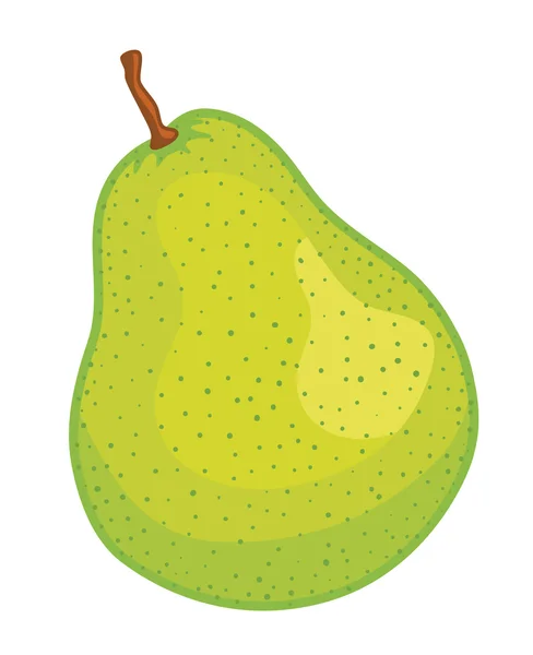 Green pear fruit — Stock Vector