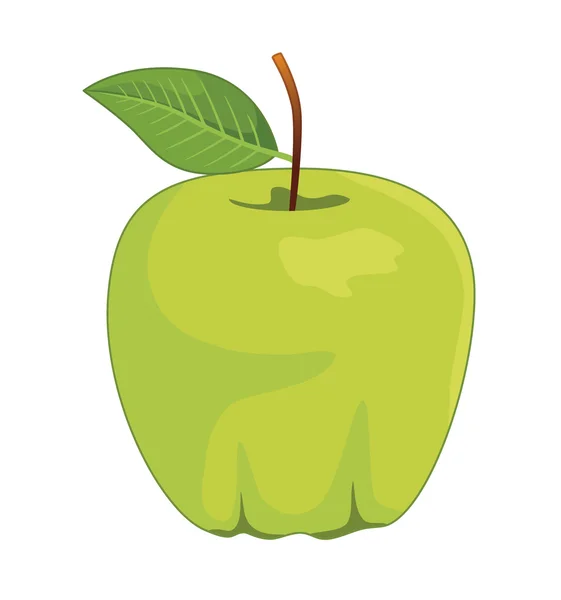 Одне повне зелене яблуко — стоковий вектор