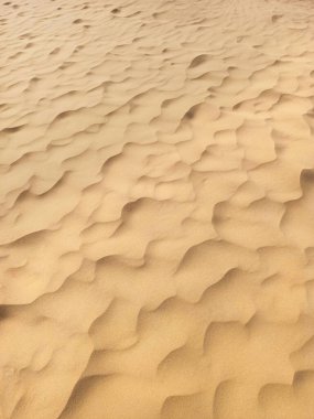 Güneşli bir günde rüzgarın yarattığı kum tepeciklerinin desenleri ve dokuları. Soyut kum dokusu arkaplanı.