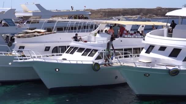 Yacht con persone nel porto del porto marittimo. — Video Stock