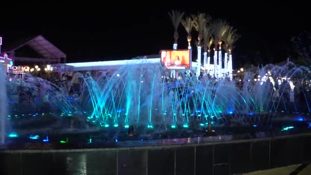 Fontaine d'eau colorée la nuit. les gens regardant le spectacle de fontaine — Video