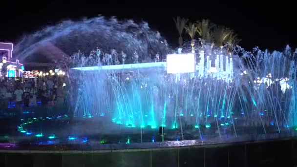 Fontana colorata di notte. Spettacolo notturno di fontana danzante — Video Stock