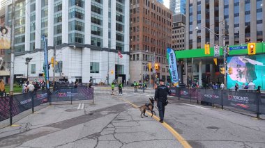 Toronto, ON, Kanada - 18 Ekim 2025: Bir polis memuru ve K9 birimi köpeği şehir maratonu başlamadan önce boş, kapalı cadde rotasında devriye geziyorlar.