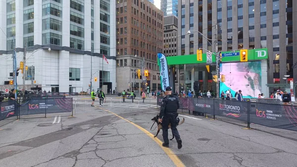 Toronto, ON, Kanada - 18 Ekim 2025: Bir polis memuru ve K9 birimi köpeği şehir maratonu başlamadan önce boş, kapalı cadde rotasında devriye geziyorlar.