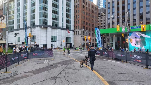 Toronto, ON, Kanada - 18 Ekim 2025: Bir polis memuru ve K9 birimi köpeği şehir maratonu başlamadan önce boş, kapalı cadde rotasında devriye geziyorlar.