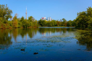 Ünlü bir şehir kulesi güneşli bir günde parkın sakin sularını yansıtır..