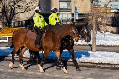 Toronto, ON, Kanada - 24 Ekim 2025: Yüksek görüşlü ceketli iki polis memuru bir şehir caddesinde ata biniyor.