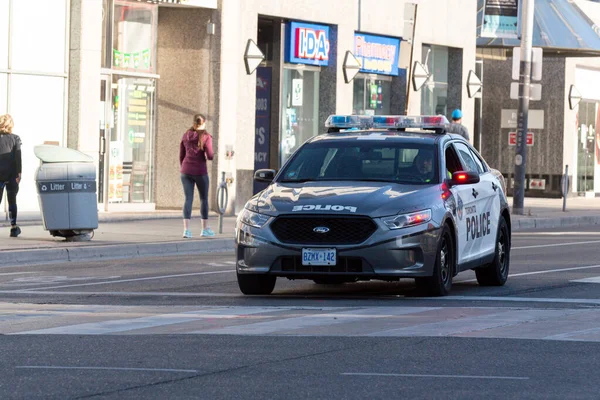 Toronto, ON, Kanada - 24 Ekim 2025: Işıkları açık bir Toronto Polis arabası şehir caddesinde ilerliyor.