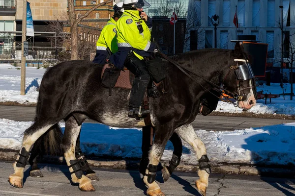 Toronto, ON, Kanada - 24 Ekim 2025: Yüksek görüşlü ceketli iki polis memuru bir şehir caddesinde ata biniyor.