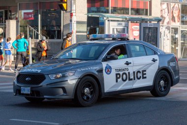 Toronto, ON, Kanada - 24 Ekim 2025: Işıkları açık bir Toronto Polis arabası şehir caddesinde ilerliyor.