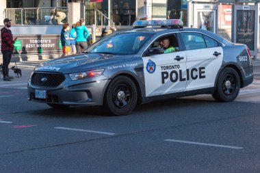 Toronto, ON, Kanada - 24 Ekim 2025: Işıkları açık bir Toronto Polis arabası şehir caddesinde ilerliyor.
