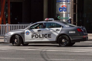 Toronto, ON, Kanada - 24 Ekim 2025: Gri ve beyaz Toronto Polis Kruvazörü bir şehir sokağının kenarına park edilmiştir..