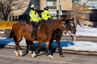 Toronto, ON, Kanada - 24 Ekim 2025: Yüksek görüşlü ceketli iki polis memuru bir şehir caddesinde ata biniyor.