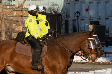 Toronto, ON, Kanada - 24 Ekim 2025: Yüksek görüşlü ceketli iki polis memuru bir şehir caddesinde ata biniyor.