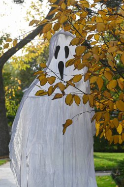 TORONTO, CANADA 29 EKİM 2025: Cadılar Bayramı süsleri tatil öncesi bir eve asıldı