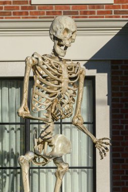 TORONTO, CANADA 29 EKİM 2025: Cadılar Bayramı süsleri tatil öncesi bir eve asıldı