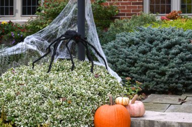 TORONTO, CANADA 29 EKİM 2025: Cadılar Bayramı süsleri tatil öncesi bir eve asıldı..