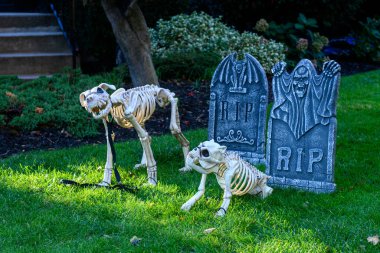 TORONTO, CANADA 29 EKİM 2025: Cadılar Bayramı süsleri tatil öncesi bir eve asıldı..